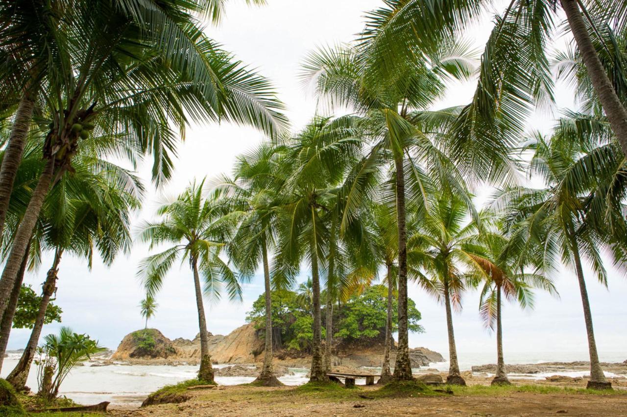 Pacific Edge Eco Lodge Dominical Exterior foto